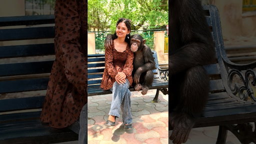 Zoo me mile “rishtedar”😂😝|Miss.Hosiyar|#shorts #vlog #minivlog #585