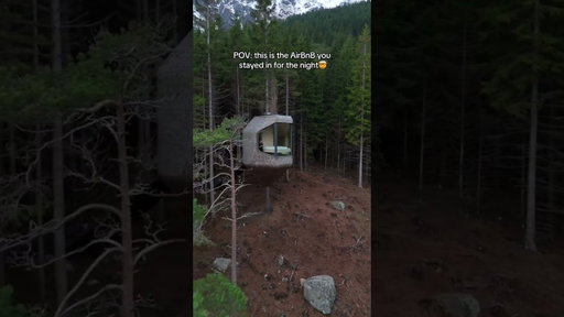 The most beautiful AirBnB in Norway #airbnbfinds #airbnbexperience #norwaytravel #treehouse