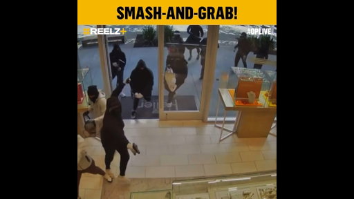 San Ramon Jewelry Store Smash and Grab with 25 Suspects