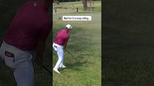 How many feet did this ball roll? 🤔