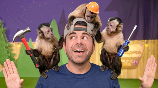 Animals vs Engineers