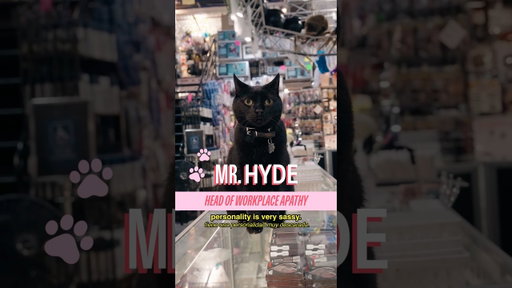 Meet Mr. Hyde in Flatiron