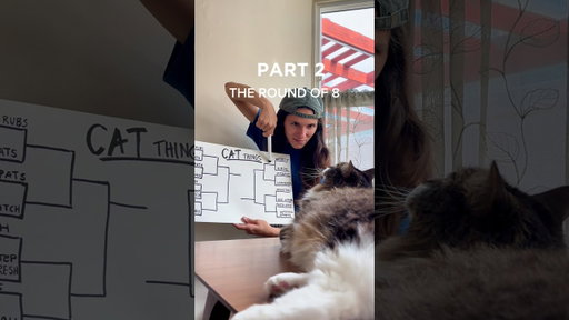 8 Sweetest Things I Do For My Cat