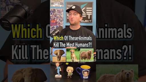 Which Of These Animals Kill The Most Humans?! #shorts #animals #facts #dog #pets