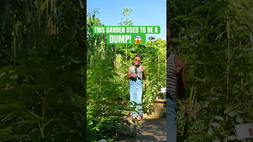 Restoring gardens take work 💪🏽 #gardening #plants #garden