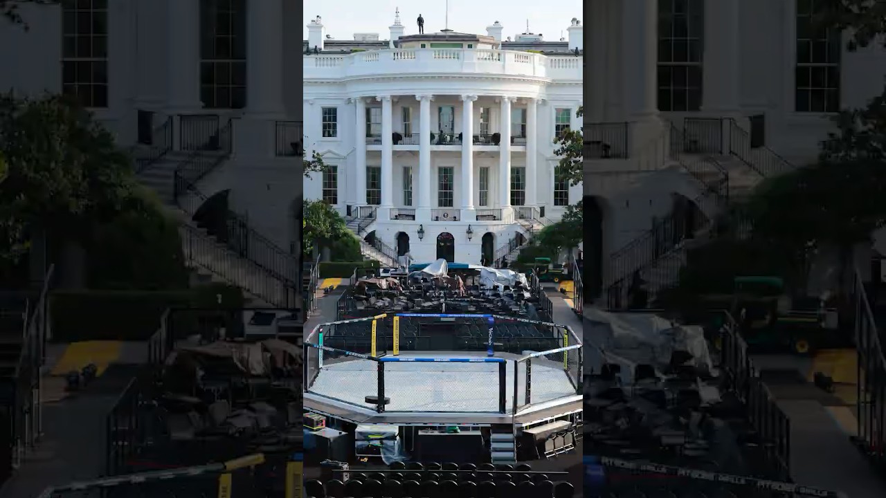 White House Preps UFC Cage Match for Trump's 80th Birthday