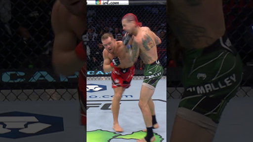 💥 Бои Петра Яна скучными не бывают! #UFC323