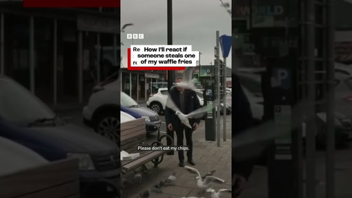 GET OFF MY CHIPS 😭😭😭 Original vid:  bbcnews