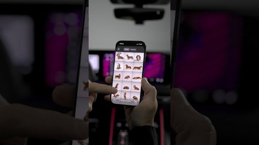 Explore Personal Themes in the myAudi app
