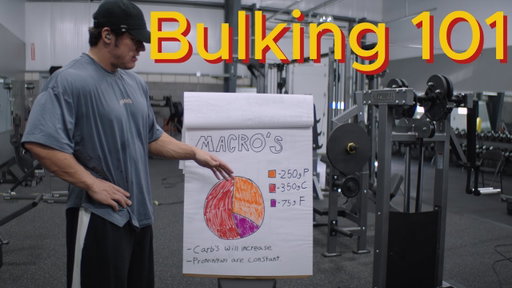 Bulking 101 - Intro Lecture