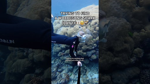 Is this the SCARIEST FISH IN THE OCEAN?!😳👀🤿