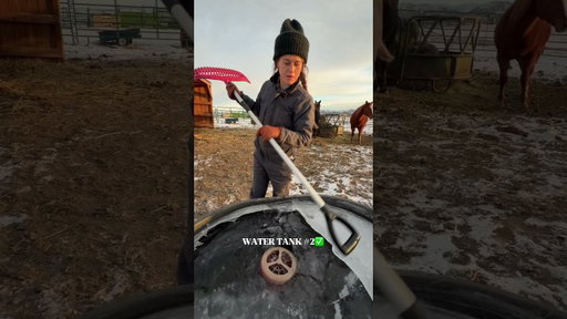 does this count as a cold plunge? #montana #homestead #winter #vlog
