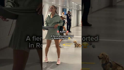 Viewer discretion is advised ⚠️ 🐶 #rolandgarros
