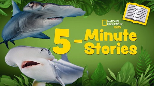5 Minute Stories Book Read-Along 📚| Hello Hammerheads! 🦈🛠️ | @natgeokids
