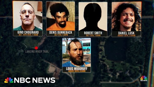 Possible serial killer in Michigan