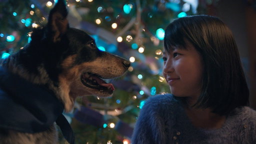 Blue Christmas | Creating a Brighter Holiday