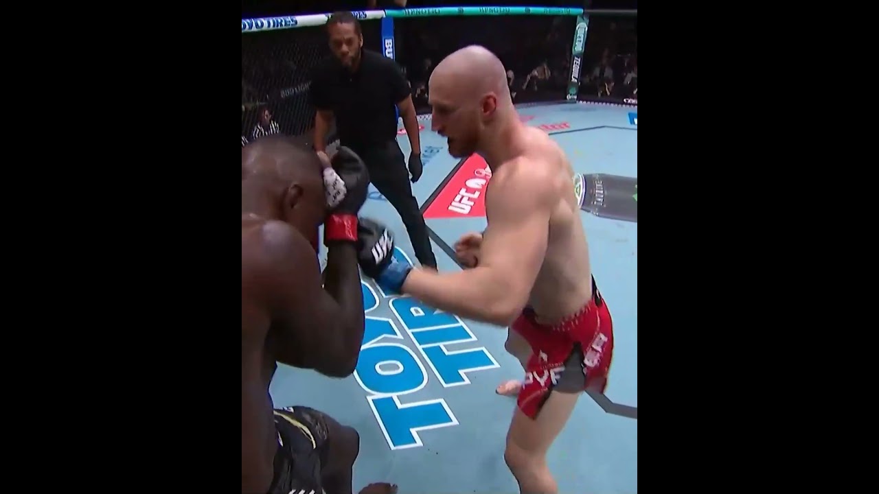 Pyfer landing blows early on! #ufcseattle