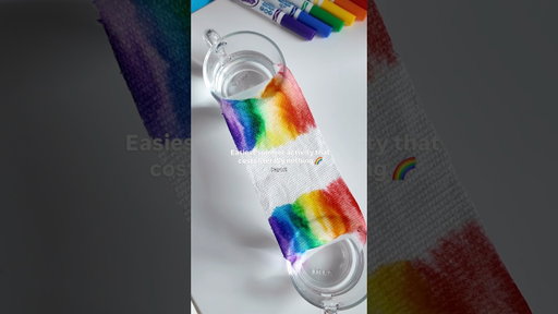 A capillary action science experiment for kids! #steam #art #kidsactivities #rainbow #stemforkids