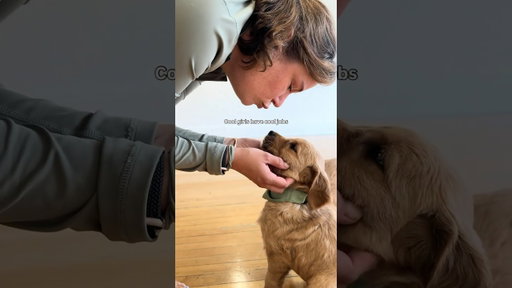 They sure do 🤭🐾 Who wouldn’t want to play with puppies for a living? #puppysphere #puppyyoga
