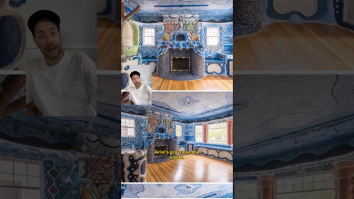 Ariel went crazy with this house listing #homedecor