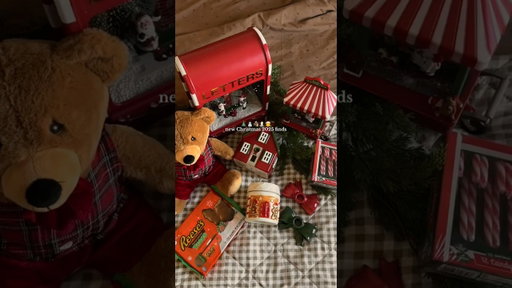 New Christmas 2025 finds 🎄 #christmas #christmasdecor #christmasshopping #christmas2025