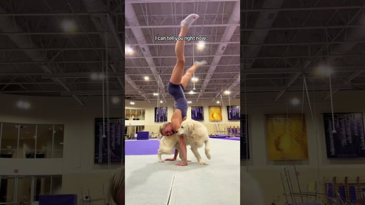My soul dog #dog #gymnastics #pets #bestfriend #lsu #puppy