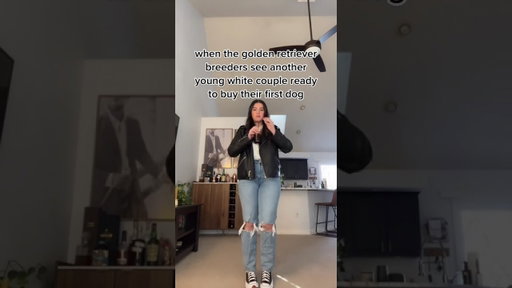 Tik tok should we get another dog? #goldenretriever... #Shorts #rosiepiper_