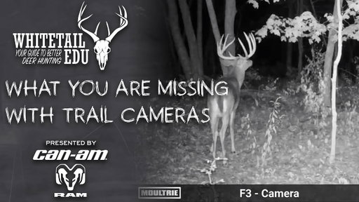 How Most Hunters Misuse Their Trail Cameras