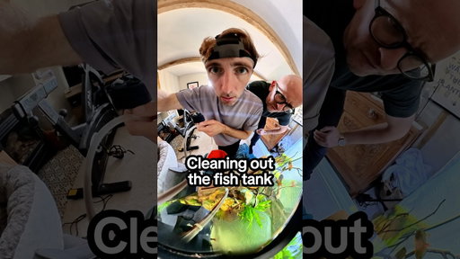 Nobody can clean a fish tank in five minutes?