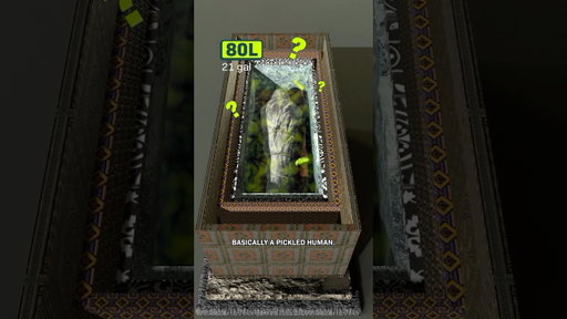 The Most Well Preserved Mummy Ever Found