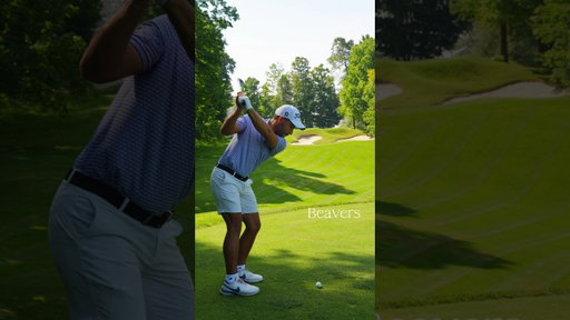 HUGE BEAVERS 😳🏌🏻‍♂️🦫 #golf #golfer #golfswing