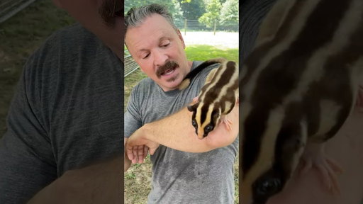 Do you know what animal this is?