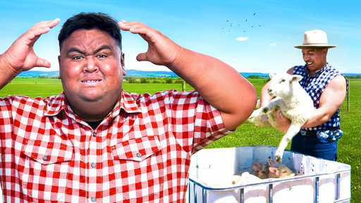Samoans Work at a Māori Farm for a Day...