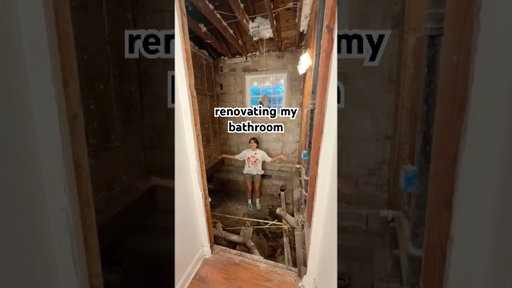 we had to fully gut my bathroom