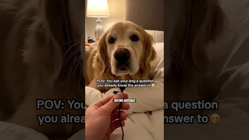 Take it from man’s best friend: this is key to any relationship 🐶