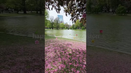spring in boston