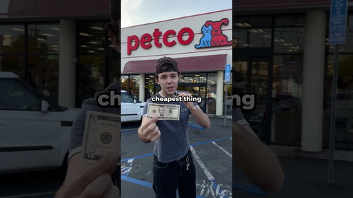 Whats the Cheapest Thing at a Pet Store? 🐶
