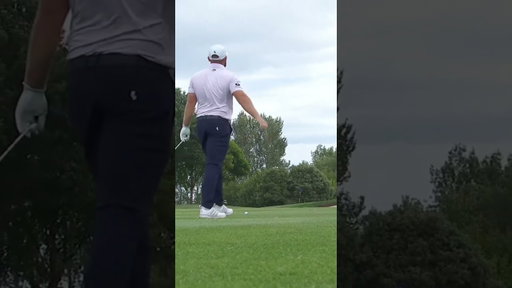 what's the ruling for this? 🤯 #shorts #golf