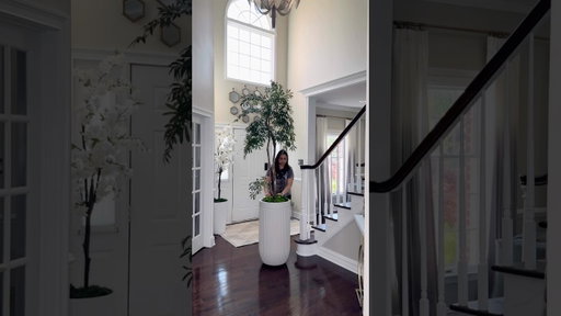 Planters on wheels? Yes please! #hacks #home #amazonhome #interiordesign #homedecor
