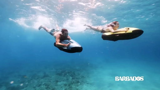 Discover Destination Barbados