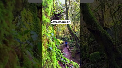 You don’t need to fly to New Zealand to find Middle Earth ✨