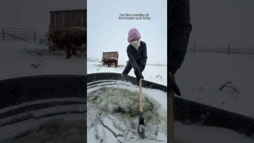 don’t worry i left behind the wet ugg’s this time #homestead #montana #asmr #snow #storm