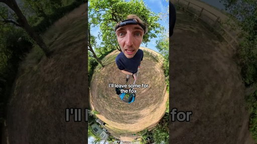 A new song for you about apple picking upping