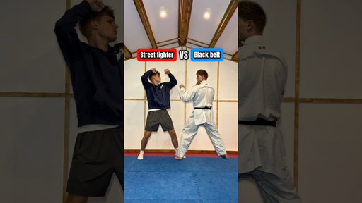 Street fighter vs BLACK BELT…