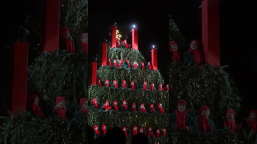 🎄Singing christmas tree in Waldkirch, Germany #christmastree #christmasmarket #christmastime