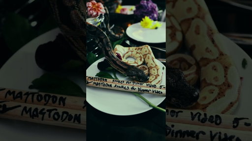 "Snakes For Dinner" and more TONIGHT. Tune back in at 9pm PT / 12am ET