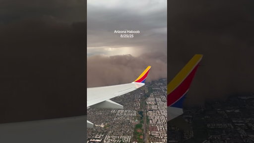 Imagine it’s your first time in Arizona… and you land in THIS 🫨🌪️ #haboob #arizonaweather #duststorm