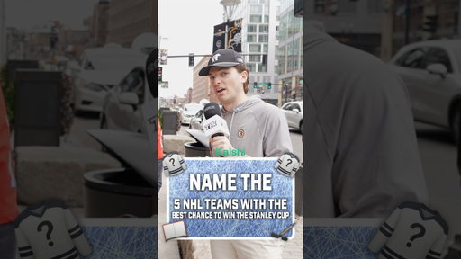 Who’s winning the Stanley Cup? 🤔🔥 #hockey #nhlhockeyislife #hockeyvideos #nhl #hockeyhighlights