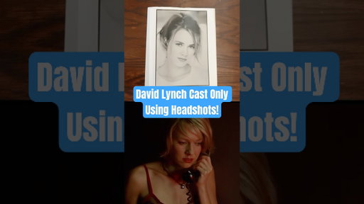 David Lynch Cast 'Mulholland Drive' Using Only Photographs!