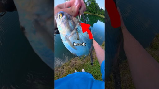 I Fished with BIG Live Bait 🐟🎣